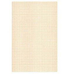 Feuille papier millimetré Ecolo 80g