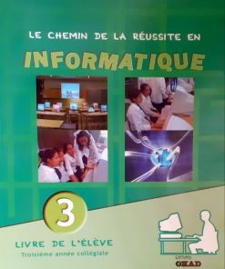 Le chemain de la réussite en informatique